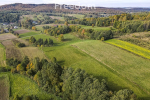 Działka na sprzedaż 8100m2 brzozowski Dydnia Grabówka - zdjęcie 1