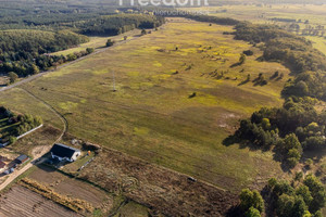 Działka na sprzedaż słubicki Słubice Drzecin - zdjęcie 2