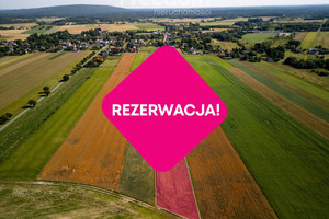 Działka na sprzedaż 15000m2 radomszczański Dobryszyce Polna - zdjęcie 3