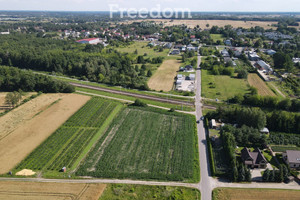 Działka na sprzedaż 6567m2 siedlecki Siedlce Nowe Iganie Polna - zdjęcie 1