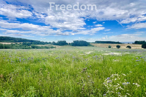 Działka na sprzedaż 112000m2 kamieński Kamień Pomorski Kukułowo - zdjęcie 1