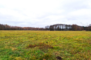 Działka na sprzedaż węgrowski Łochów Brzuza - zdjęcie 3