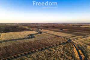 Działka na sprzedaż 10900m2 leżajski Leżajsk Stare Miasto - zdjęcie 1