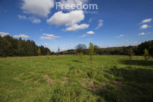 Działka na sprzedaż 3072m2 rzeszowski Świlcza Trzciana - zdjęcie 2