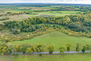 Działka na sprzedaż 1306m2 elbląski Młynary Elbląska - zdjęcie 2