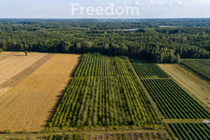 Działka na sprzedaż 27089m2 grójecki Grójec Mirowice Sosnowa - zdjęcie 1