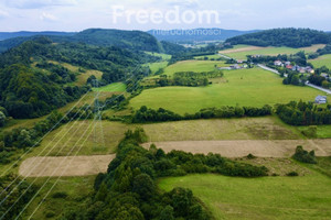 Działka na sprzedaż 19300m2 krośnieński Dukla Tylawa - zdjęcie 4