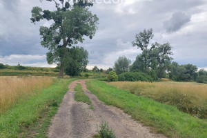 Działka na sprzedaż 9400m2 malborski Malbork Kamienica - zdjęcie 3