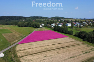 Działka na sprzedaż 4000m2 krośnieński Chorkówka Kobylany - zdjęcie 2