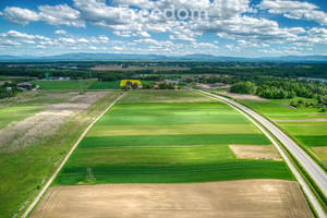 Działka na sprzedaż 6091m2 Jastrzębie-Zdrój Dębina - zdjęcie 3