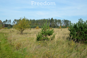 Działka na sprzedaż 735m2 opolski Dąbrowa Siedliska - zdjęcie 2