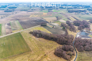 Działka na sprzedaż 48800m2 białostocki Łapy Płonka Kościelna - zdjęcie 1