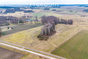 Działka na sprzedaż 48800m2 białostocki Łapy Płonka Kościelna - zdjęcie 2