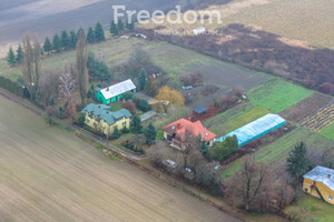 Działka na sprzedaż 5000m2 warszawski zachodni Ożarów Mazowiecki Pogroszew-Kolonia - zdjęcie 2