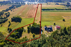 Działka na sprzedaż 22500m2 pilski Szydłowo Krępsko - zdjęcie 1