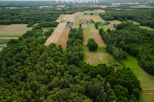 Działka na sprzedaż 1264m2 bełchatowski Drużbice - zdjęcie 2