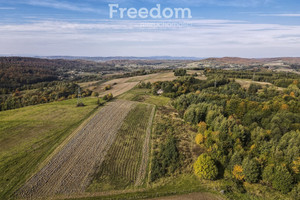 Działka na sprzedaż 4400m2 brzozowski Dydnia Grabówka - zdjęcie 1