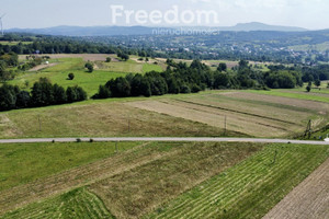 Działka na sprzedaż 4000m2 krośnieński Chorkówka Kobylany - zdjęcie 3