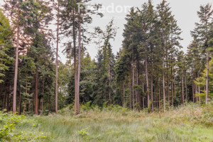 Działka na sprzedaż 9790m2 tarnowski Wojnicz Olszyny - zdjęcie 3