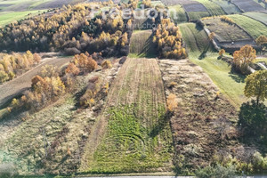 Działka na sprzedaż 16470m2 starachowicki Pawłów Zbrza - zdjęcie 1