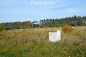 Działka na sprzedaż 914m2 opolski Dąbrowa Siedliska - zdjęcie 2