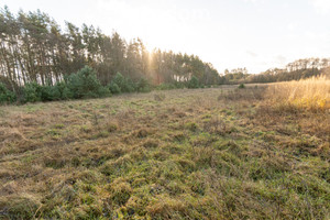 Działka na sprzedaż 1196m2 pilski Szydłowo Kotuń - zdjęcie 1