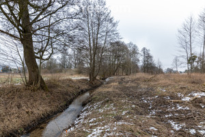 Działka na sprzedaż 1650m2 pilski Szydłowo Kotuń - zdjęcie 3