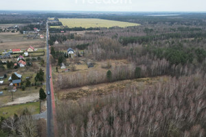 Działka na sprzedaż 6300m2 łęczyński Ludwin Rozpłucie Drugie - zdjęcie 3