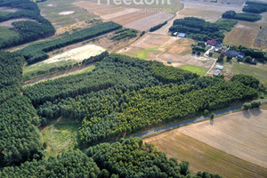 Działka na sprzedaż czarnkowsko-trzcianecki Trzcianka Łomnica - zdjęcie 3