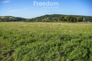 Działka na sprzedaż 7900m2 przemyski Krzywcza Bachów - zdjęcie 3