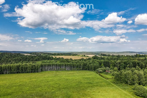 Działka na sprzedaż 11700m2 przemyski Bircza Borownica - zdjęcie 2