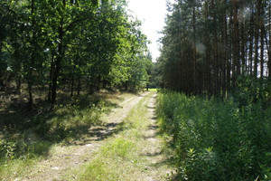 Działka na sprzedaż 1769m2 toruński Zławieś Wielka Czarne Błoto - zdjęcie 1