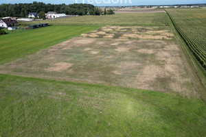 Działka na sprzedaż 3275m2 poznański Tarnowo Podgórne - zdjęcie 2