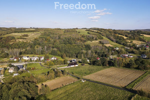 Działka na sprzedaż 4300m2 rzeszowski Lubenia Straszydle - zdjęcie 3