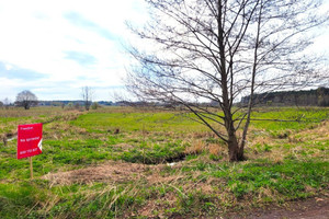 Działka na sprzedaż 6760m2 siedlecki Zbuczyn Dziewule Leśna - zdjęcie 2