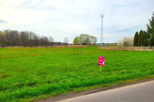 Działka na sprzedaż 7990m2 siedlecki Zbuczyn Dziewule Dworska - zdjęcie 1