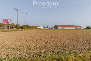 Działka na sprzedaż 27500m2 tarnowski Żabno - zdjęcie 1