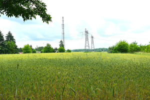 Działka na sprzedaż 24800m2 bialski Międzyrzec Podlaski Brzeska - zdjęcie 2