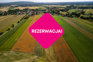 Działka na sprzedaż 15000m2 radomszczański Dobryszyce Polna - zdjęcie 2