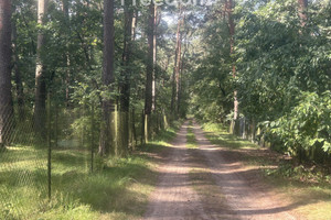 Działka na sprzedaż 1904m2 obornicki Rogoźno Budziszewko - zdjęcie 3