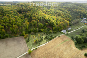 Działka na sprzedaż 9739m2 gdański Przywidz Klonowo Dolne Głęboka - zdjęcie 1