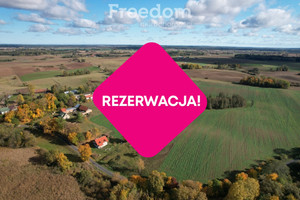 Działka na sprzedaż 3000m2 ełcki Kalinowo Golubie - zdjęcie 3