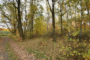 Działka na sprzedaż 27300m2 gliwicki Pilchowice - zdjęcie 3