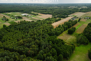 Działka na sprzedaż 1264m2 bełchatowski Drużbice - zdjęcie 3