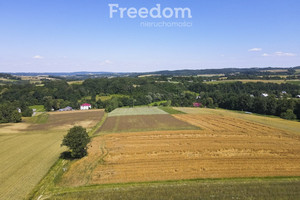 Działka na sprzedaż ropczycko-sędziszowski Wielopole Skrzyńskie Brzeziny - zdjęcie 3