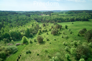 Działka na sprzedaż 12500m2 mrągowski Mrągowo Kosewo - zdjęcie 3