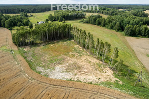 Działka na sprzedaż 5023m2 kościerski Stara Kiszewa Stary Bukowiec - zdjęcie 2