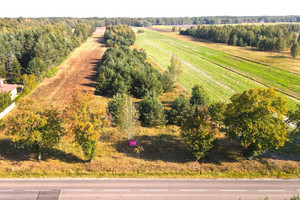 Działka na sprzedaż 13300m2 węgrowski Korytnica Kolonia Paplin - zdjęcie 1