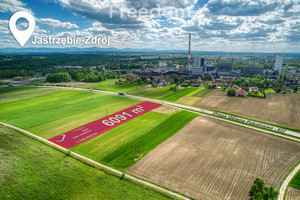 Działka na sprzedaż 6091m2 Jastrzębie-Zdrój Dębina - zdjęcie 2