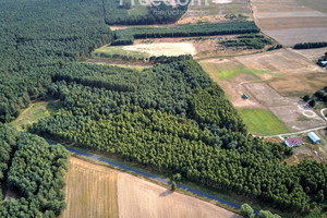 Działka na sprzedaż czarnkowsko-trzcianecki Trzcianka Łomnica - zdjęcie 2